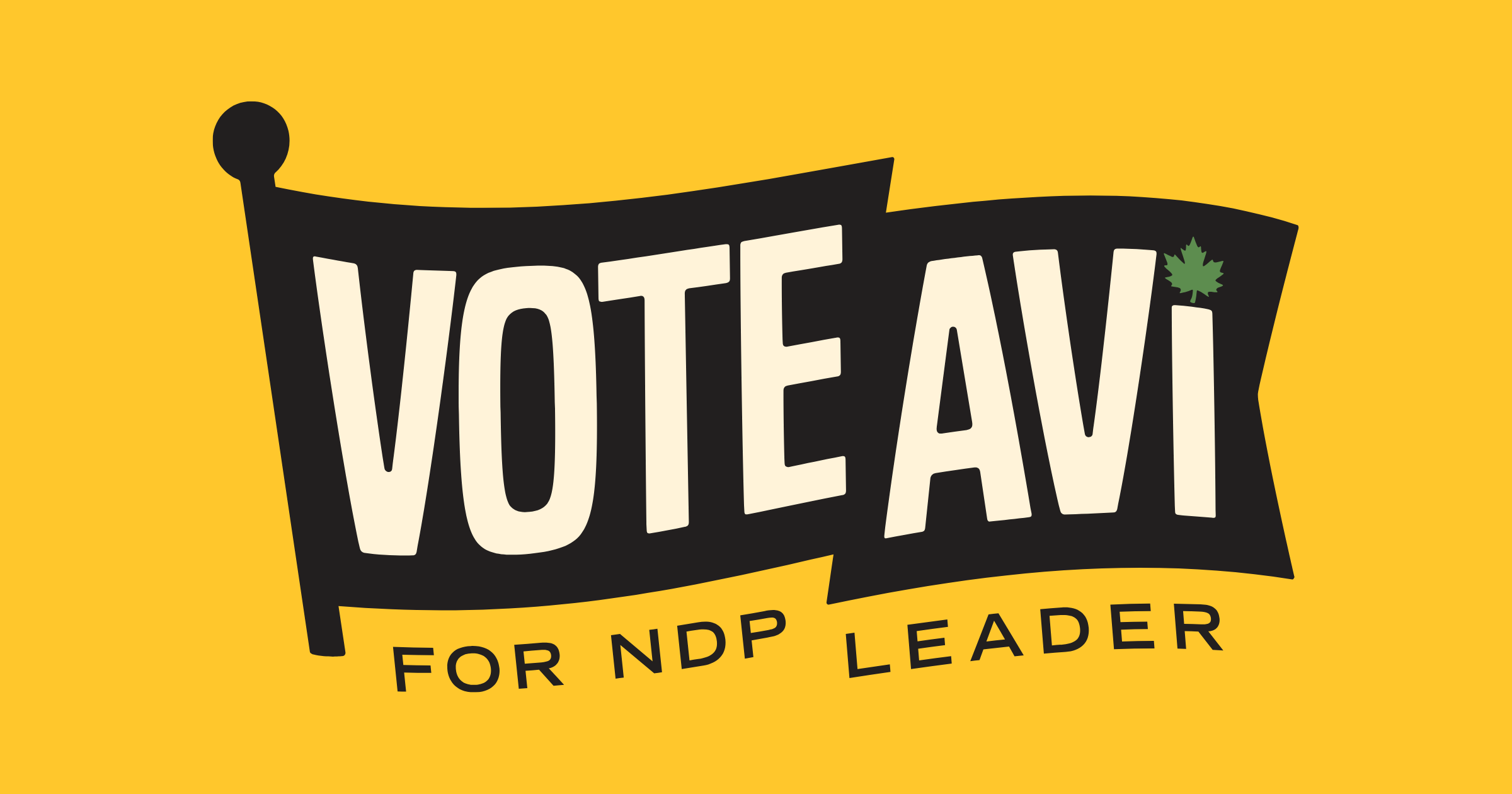 lewisforleader.ca